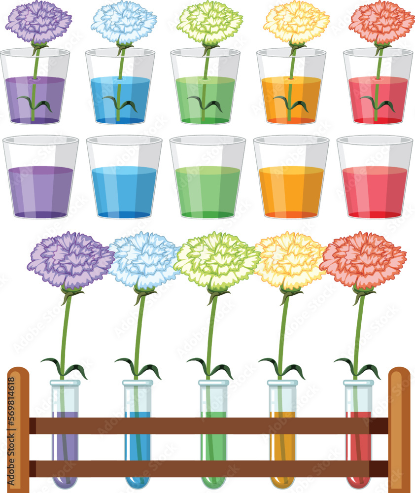 Wall mural set of colour science experiments