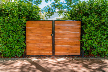 Double gate with wooden panel in the middle of wall plants in a Miami, Florida residence. Driveway...