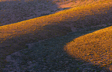 Abstract pattern of light and dark created by the rising sun at sunrise in the rolling hills on the high altitude plateau of the Andes (Altiplano) in northern Chile