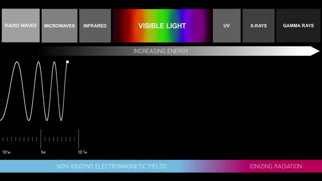 Graphic Animation Light Diagram with Invisible Visible Light Spectrum. Infrared, Ultraviolet, Microwaves, X-rays, Gamma