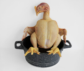 Whole raw chicken with head and feet in saucepan isolated on white background. Raw hen sitting in stainless steel stock pot.