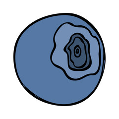 Vector blueberry clipart. Hand drawn berry icon. Fruit illustration. For print, web, design, decor, logo.