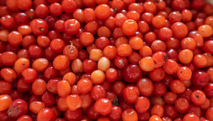 Natural looking cherry. Selective focus.