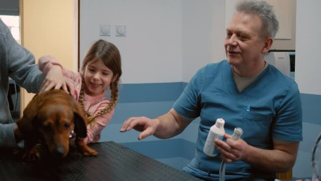 Old man and his granddaughterbring a dachshund dog to the vet for a check-up. Little girl puts a pet on the veterinary table