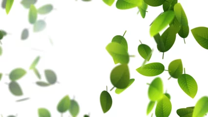 Foto op Plexiglas Flying green leaves on white background © Cinefootage Visuals