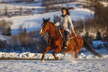 Romantic equestrian scene: A young woman ride her horse in gallop through a snowy winter landscape during sundown outdoors