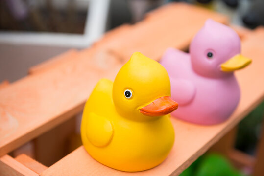 Close-up of rubber ducks in garden centre, Augsburg, Bavaria, Germany