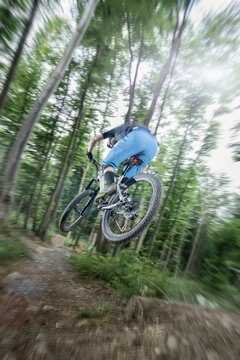 Mountain biker performing jump on bicycle on single track in forest, Bavaria, Germany