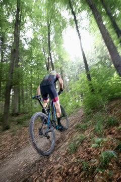 Mountain biker riding uphill on forest path, Bavaria, Germany