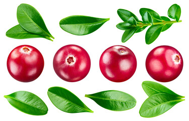 Cranberry isolated on white background