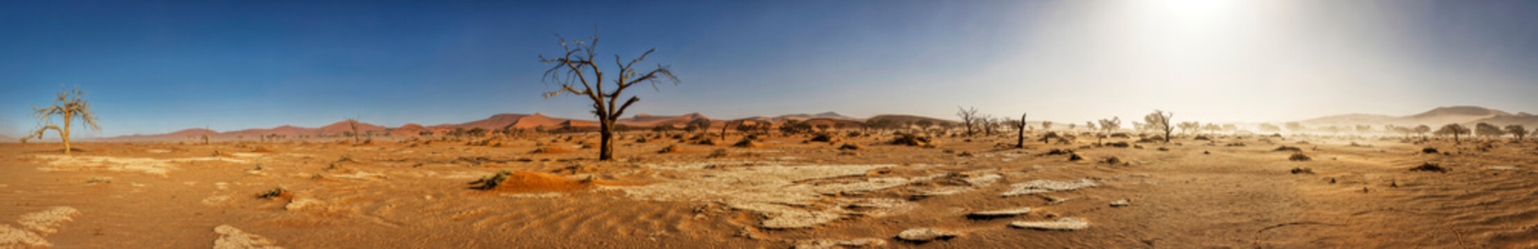 Panoramic view of sand dunes and bare tree at Sossusvlei, Namibia, Africa