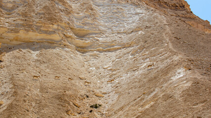 Ibexes crossing a mountainside