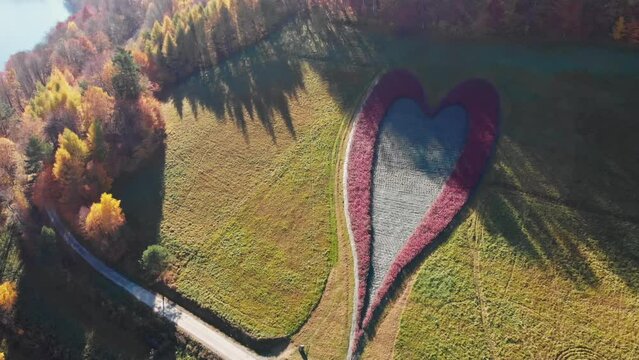 aerial view of heart-shaped field on a hill surrounded by trees, Bieszczady Poland. High quality 4k footage