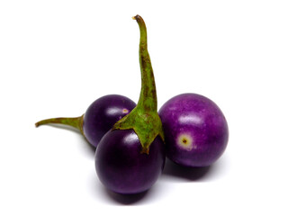 Mixed eggplant and purple eggplant in white background