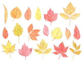 Fototapeta na wymiar Watercolor colorful Autumn leaves set. Hand painted illustration