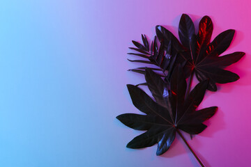 Concept of summertime, leaves, summer and nature concept