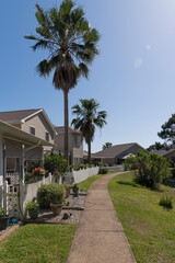 Fototapeta na wymiar Vertical shot view of a pathway near the houses with picket fence and palm trees in Navarre, Florida. Narrow concrete path on a grass with bushes outside along the residences on the left.
