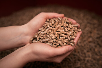 Wood pellets in hand. Biomass fuel for heating household.