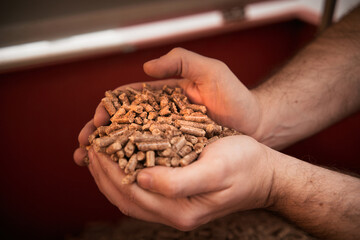 Man hold wood pellet in hands. Wood pellets in the background. Sustainable biofuel energy.