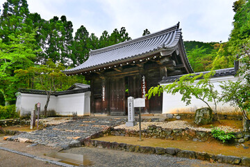 5月の朝の京都市嵯峨野の二尊院 総門
