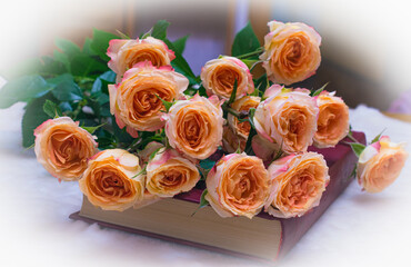 A bouquet of pink roses lies on a book. Thirst for knowledge, interesting book, romantic plot