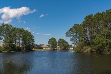 Fototapeta na wymiar River with ducks running through the forest near the residential area in Navarre, Florida. Wide river with tall trees on the shore near the bungalow houses on the right.