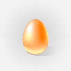 Chicken egg isolated on light background vector illustration