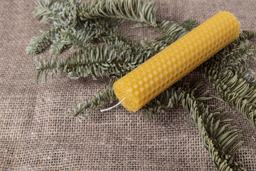 Natural beeswax candle and branches of nobilis on burlap background