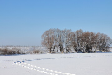Obraz premium Blocks of ice near tree trunks after the winter flood of the Staritsa River