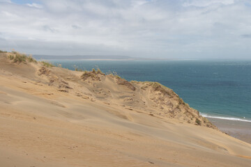 Sand dunes at Pouto Beach, New Zealand.
