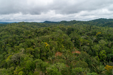 Fototapeta na wymiar Amazon jungle landscape from the east of Ecuador
