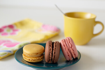 Macarons in balance on green plate on a white background