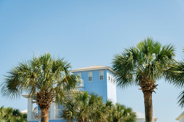 Fototapeta na wymiar Palm trees at the front of a pastel blue house in Destin, Florida. Trees covering the facade of a house with balcony against the clear sky background.