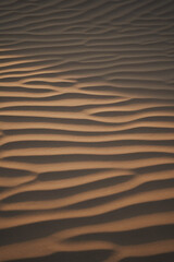 Vertical shot with sand pattern and sunlight.