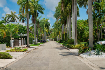 Street on a quiet wealthy neighborhood at Miami, Florida. There is a concrete way in the middle of the gated residences with plants and palm trees at the front.