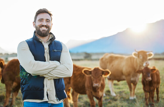 Sustainability, confidence and portrait of farmer with cows on field, happy countryside farming with dairy and beef production. Nature, meat or milk farm, sustainable business, agriculture and food.