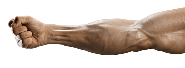 Male fist. Muscular arm of a young man. Man's Hand transparent isolated PNG photo