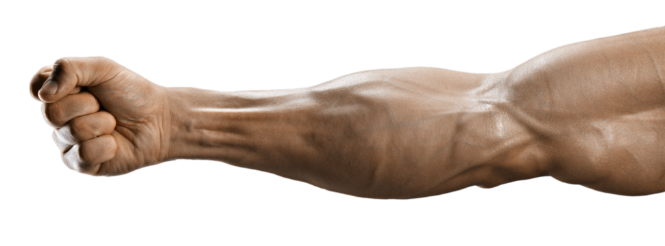 Male fist. Muscular arm of a young man. Man's Hand transparent isolated PNG photo