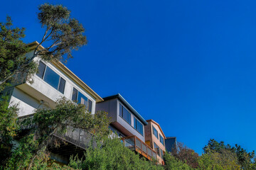 Fototapeta na wymiar Houses against blue sky and trees in San Francisco California on a sunny day. Facade of multi storey homes in a scenic residential landscape with clear sky in the background.