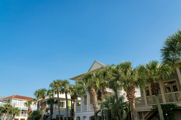 Fototapeta premium Row of houses with balconies facing the palm trees at the front in Destin, Florida. There are palm trees at the front of the houses undert the clear sky background.