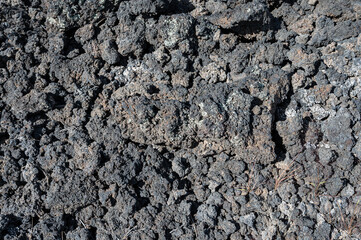 Detail of the texture of the rocky soil of volcanic magma
