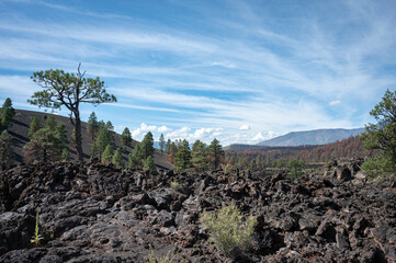 Fototapeta premium Mountainous landscape of Sunset Crater Volcano National Monument, it is a desolate volcanic area, with some trees