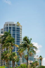 Fototapeta na wymiar Coconut trees on a street with views of round condominium building at Miami, Florida. Vertical shot view of modern high rise residential buildings behind the palm trees at the front.