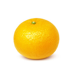 甘夏 みかん イラスト リアル