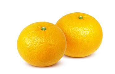 甘夏のイラスト リアル