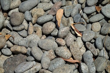 pebbles on a beach in tasmania australia