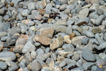 pebbles on a beach in tasmania australia