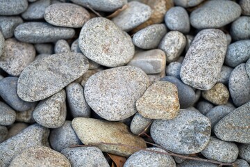 Fototapeta na wymiar pebbles on a beach in tasmania australia