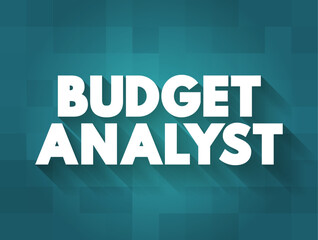 Budget Analyst are responsible for reviewing the organization's budget and approving spending requests, text concept background