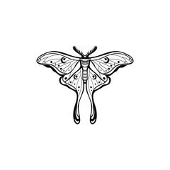 Luna Moth with Lilith's symbol on her wings. luna moth, moon moth. Geometric vector symbol with luna moth